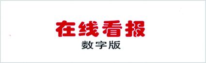 在线看报