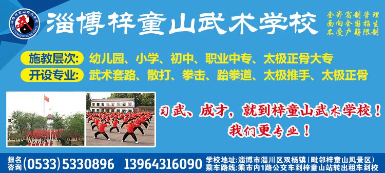 淄博梓橦山西安武术学校